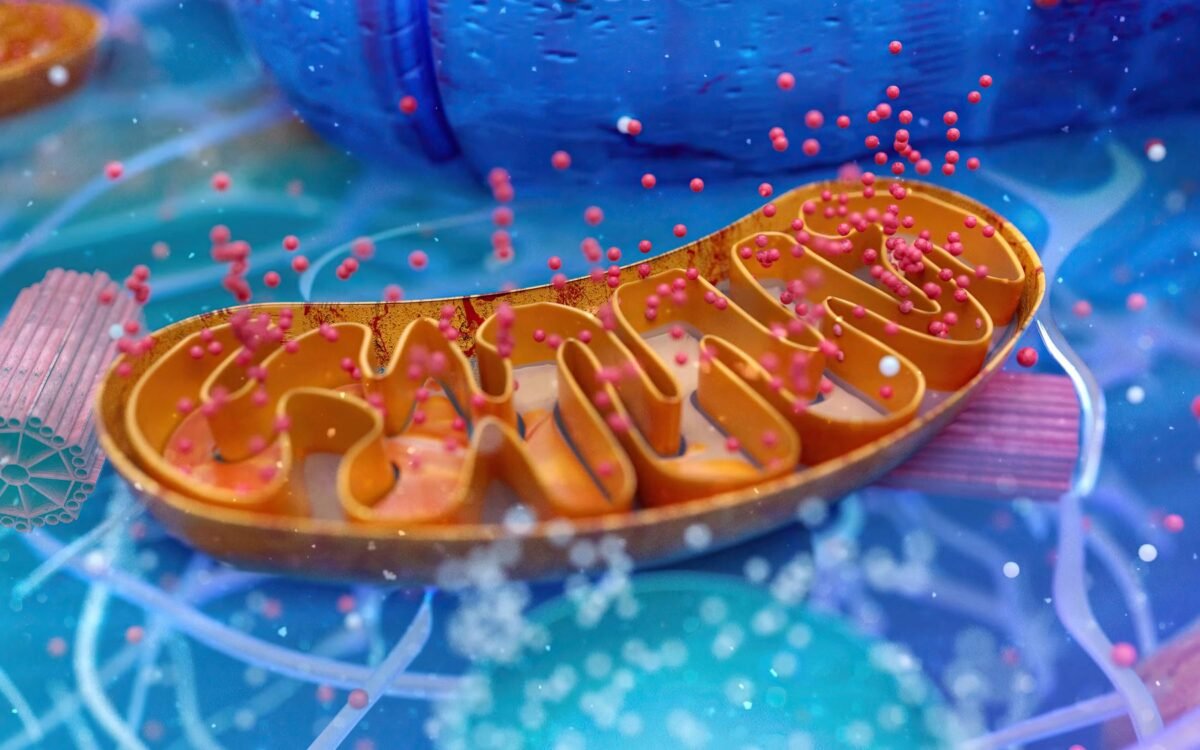 Liposome nutrient delivery system