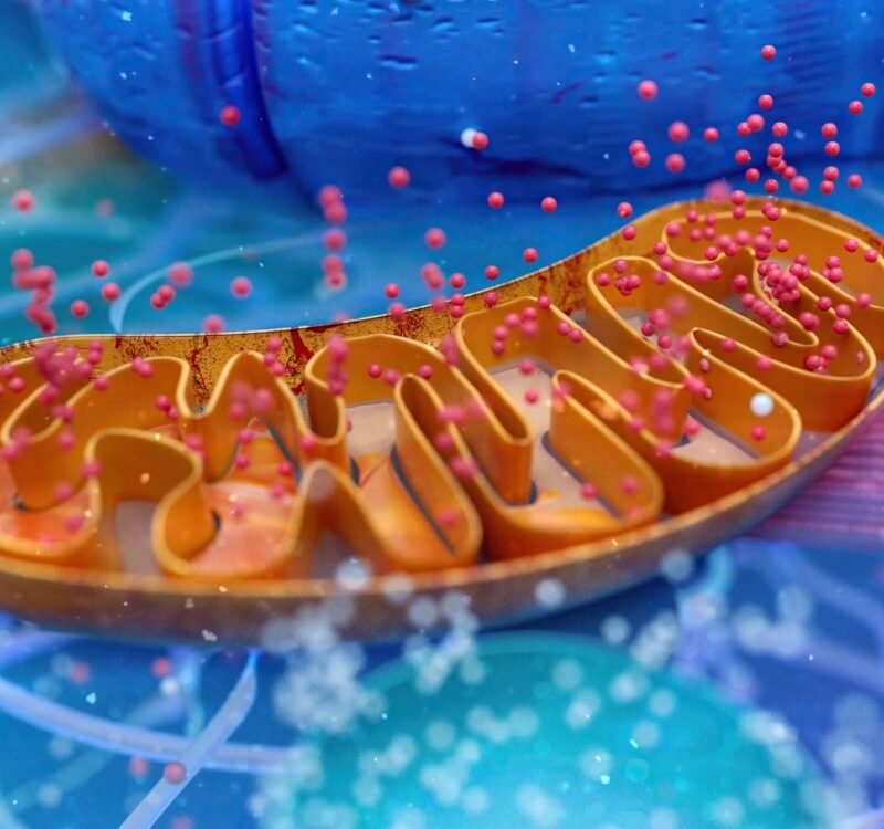 Liposome nutrient delivery system